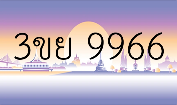 3ขย 9966